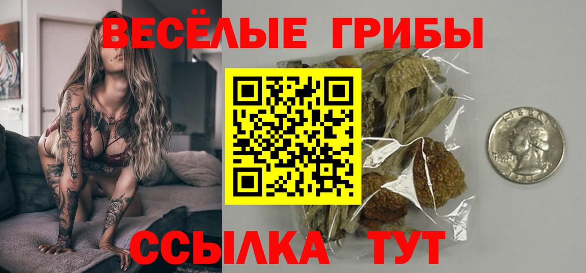 Псилоцибиновые грибы Psilocybine cubensis  Вход с VPN  Алатырь 