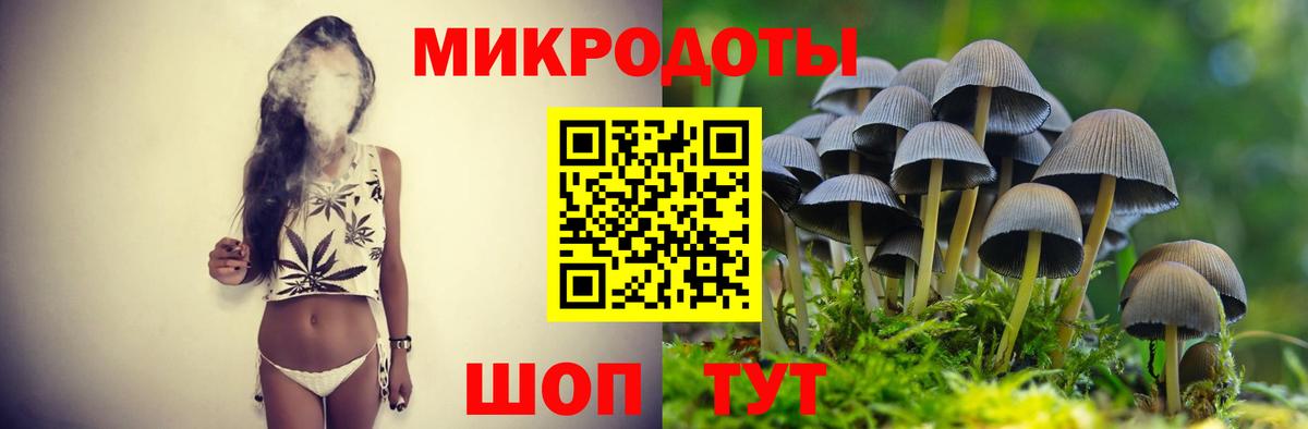 Псилоцибиновые грибы Psilocybine cubensis Алатырь